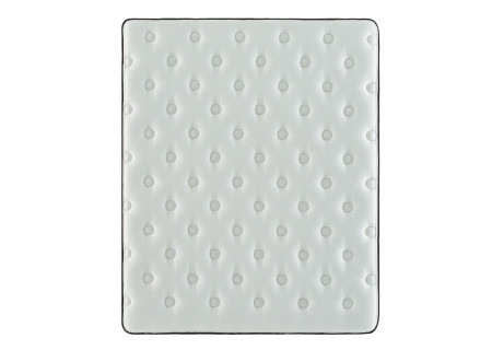 Elegant BRN Elegant BRN