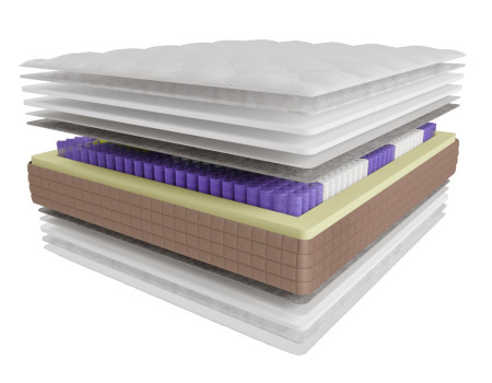 Asana Lotos Asana Lotos